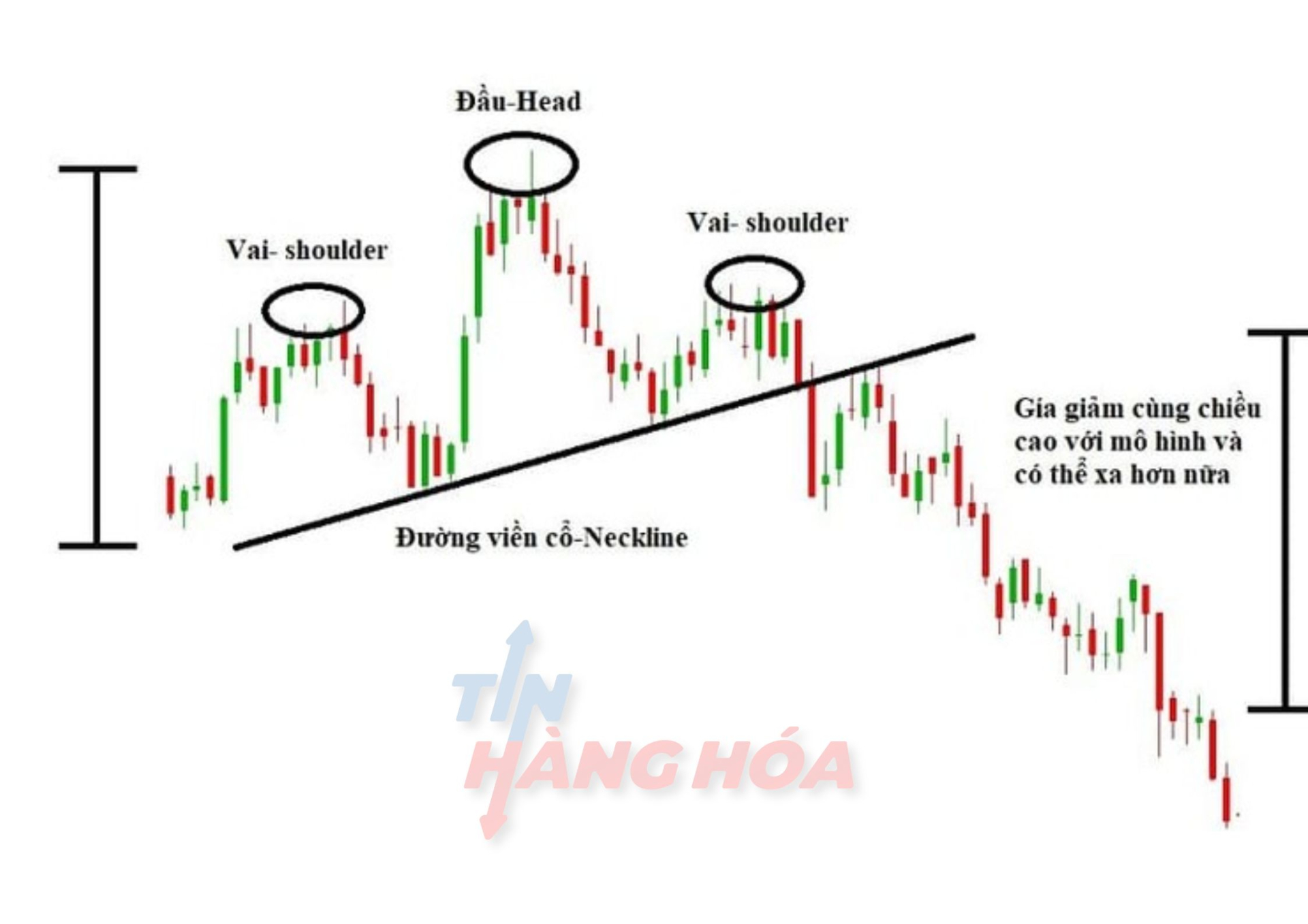 Đặc điểm của m&ocirc; h&igrave;nh vai đầu vai